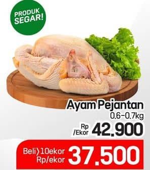 Promo Harga Ayam Pejantan 600 gr - Lotte Grosir