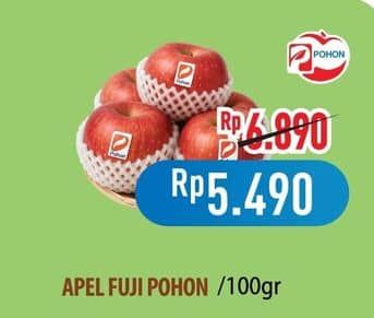 Promo Harga Apel Fuji Pohon per 100 gr - Hypermart