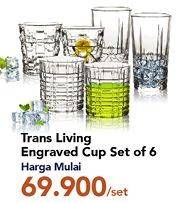 Promo Harga TRANSLIVING Engraved Cup Set 6 pcs - Carrefour