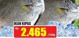 Promo Harga Ikan Kipas per 100 gr - Hari Hari