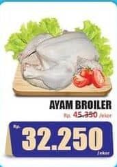 Promo Harga Ayam Broiler 500 gr - Hari Hari