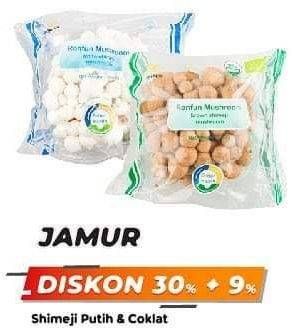 Promo Harga Jamur Shimeji Putih, Cokelat  - Yogya