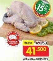 Promo Harga Ayam Kampung 600 gr - Superindo