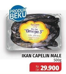 Promo Harga Ikan Capelin Male per 500 gr - Lotte Grosir