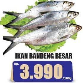 Promo Harga Ikan Bandeng Besar per 100 gr - Hari Hari