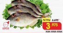 Promo Harga Ikan Ayam-Ayam per 100 gr - Superindo