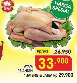 Promo Harga Ayam Pejantan  - Superindo