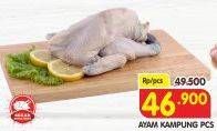 Promo Harga Ayam Kampung  - Superindo