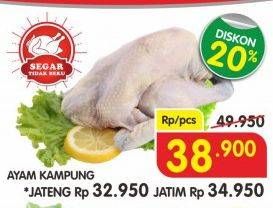 Promo Harga Ayam Kampung  - Superindo