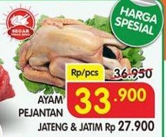 Promo Harga Ayam Pejantan  - Superindo