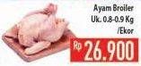 Promo Harga Ayam Broiler  - Hypermart