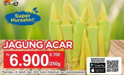 Promo Harga Jagung Acar 250 gr - Alfamidi