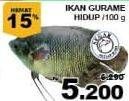 Promo Harga Ikan Gurame Hidup per 100 gr - Giant