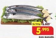 Promo Harga Ikan Makarel per 100 gr - Superindo