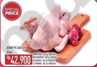 Promo Harga Ayam Pejantan  - Hypermart