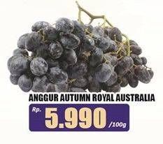 Promo Harga Anggur Autumn Royal Australia per 100 gr - Hari Hari