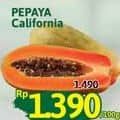 Promo Harga Pepaya California per 100 gr - Alfamidi