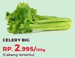 Promo Harga Daun Seledri Besar per 100 gr - Yogya