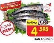 Promo Harga Ikan Tongkol per 100 gr - Superindo