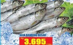 Promo Harga Ikan Bandeng Besar per 100 gr - Hari Hari