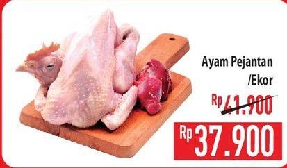 Promo Harga Ayam Pejantan 500 gr - Hypermart