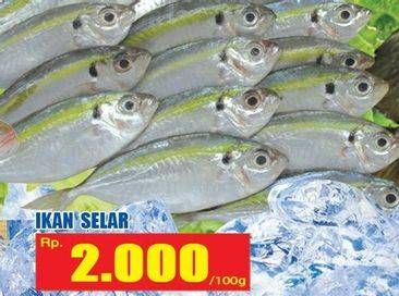 Promo Harga Ikan Selar per 100 gr - Hari Hari