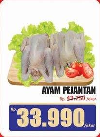 Promo Harga Ayam Pejantan 500 gr - Hari Hari