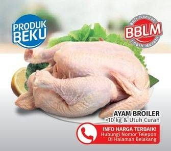 Promo Harga Ayam Broiler  - Lotte Grosir