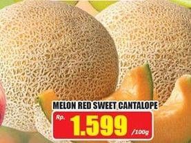 Promo Harga Melon Red Sweet Cantalope per 100 gr - Hari Hari