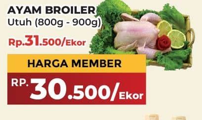 Promo Harga Ayam Broiler 800 gr - Yogya