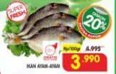 Promo Harga Ikan Ayam-Ayam per 100 gr - Superindo