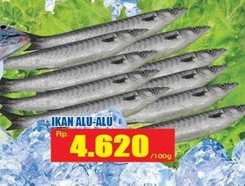 Promo Harga Ikan Alu Alu per 100 gr - Hari Hari