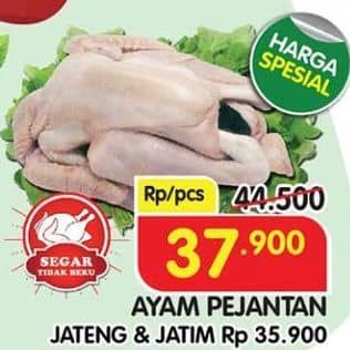 Promo Harga Ayam Pejantan 700 gr - Superindo
