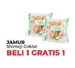 Promo Harga Jamur Shimeji Cokelat  - Yogya