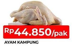 Promo Harga Ayam Kampung 1000 gr - TIP TOP