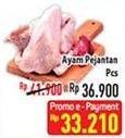 Promo Harga Ayam Pejantan 600 gr - Hypermart