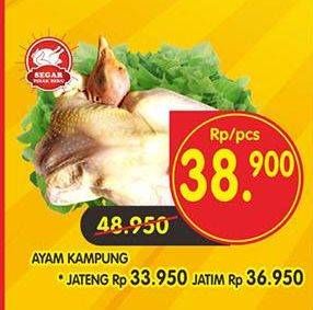 Promo Harga Ayam Kampung  - Superindo