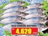 Promo Harga Ikan Kembung Bentrong per 100 gr - Hari Hari