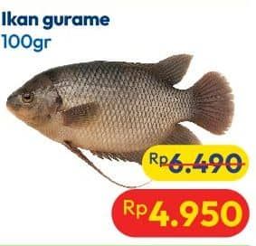 Promo Harga Ikan Gurame per 100 gr - Hypermart