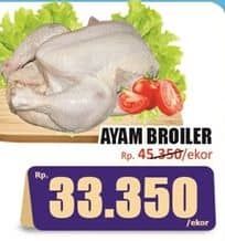 Promo Harga Ayam Broiler 500 gr - Hari Hari