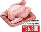 Promo Harga Ayam Broiler  - Hypermart