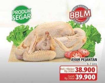 Promo Harga Ayam Pejantan 6-7ons  - Lotte Grosir