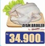 Promo Harga Ayam Broiler 700 gr - Hari Hari