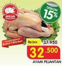 Promo Harga Ayam Pejantan  - Superindo