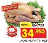 Promo Harga Ayam Pejantan  - Superindo