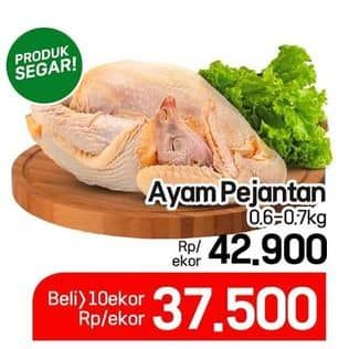 Promo Harga Ayam Pejantan 600 gr - Lotte Grosir