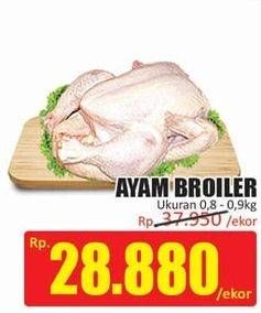 Promo Harga Ayam Broiler 800 gr - Hari Hari