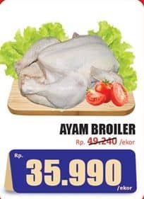 Promo Harga Ayam Broiler 500 gr - Hari Hari