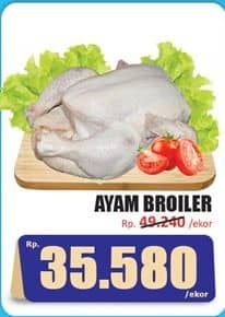 Promo Harga Ayam Broiler 600 gr - Hari Hari