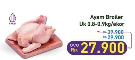 Promo Harga Ayam Broiler 800 gr - Hypermart